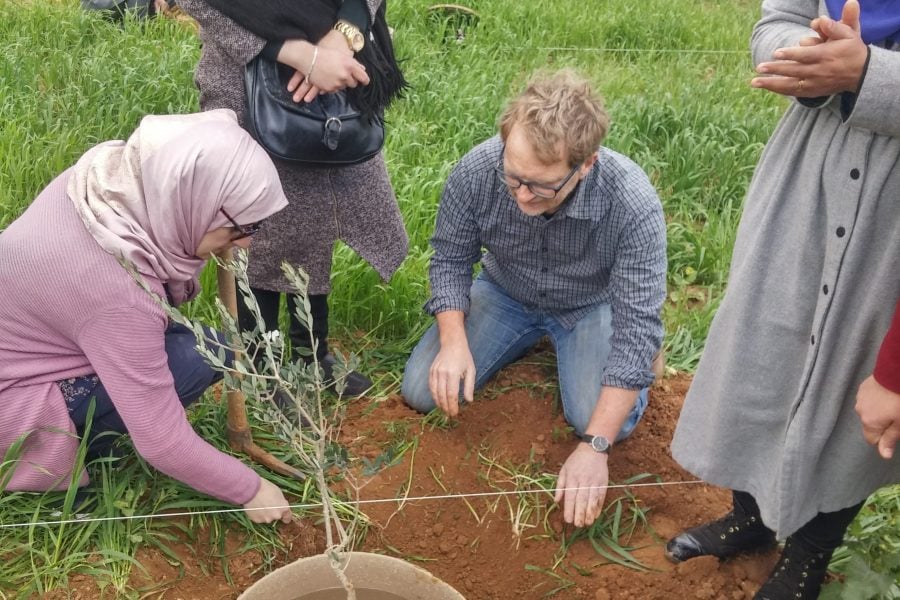 Cocoon planting - Palestine