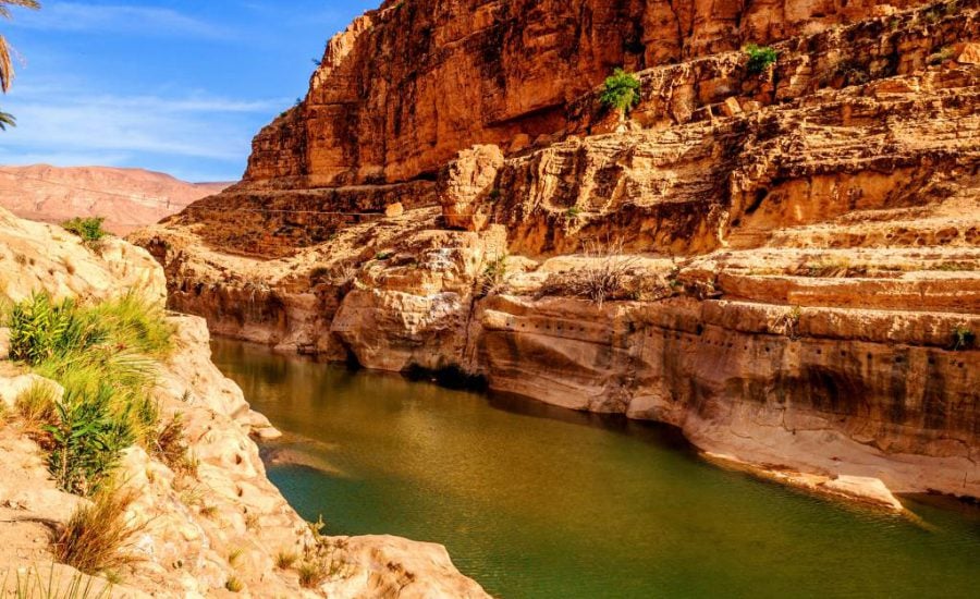 Oasis in Biskra Shared Water Resources in Algeria