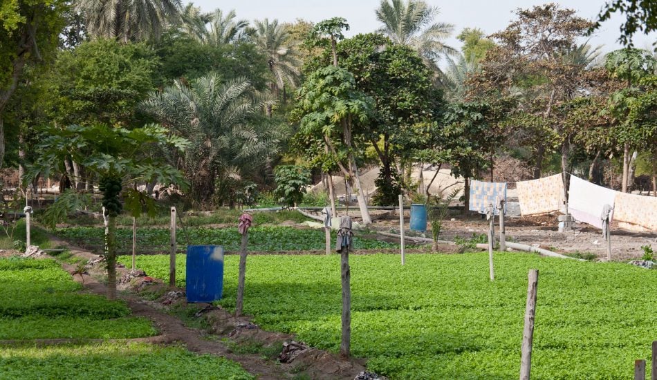 Water use in bahrain