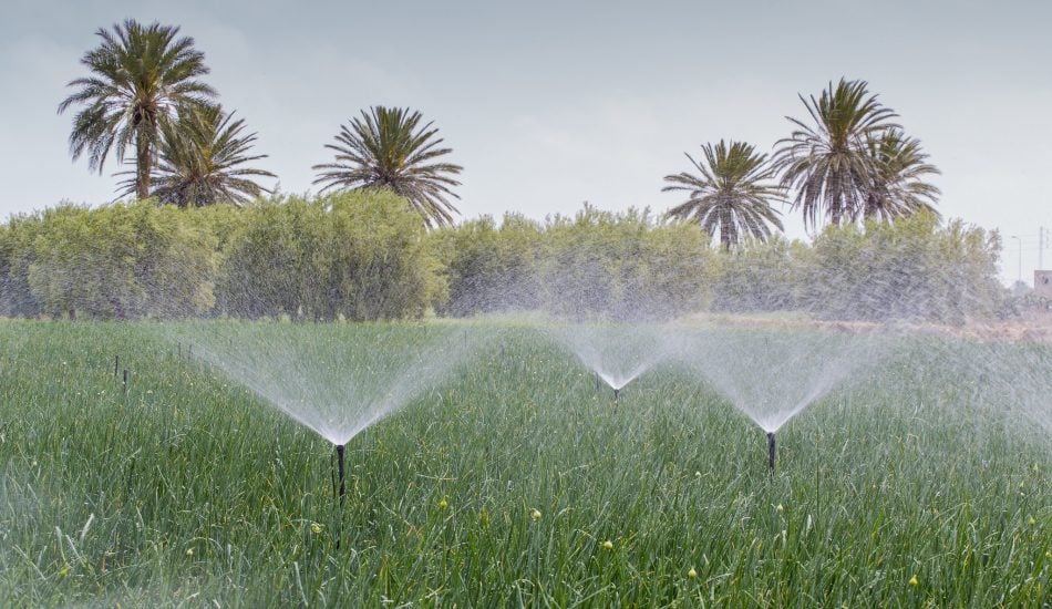 Agriculture tunisia- water use in Tunisia