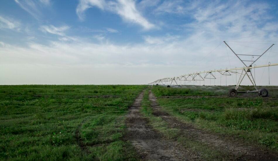 مزرعة إركية، قطر - استهلاك المياه في قطر