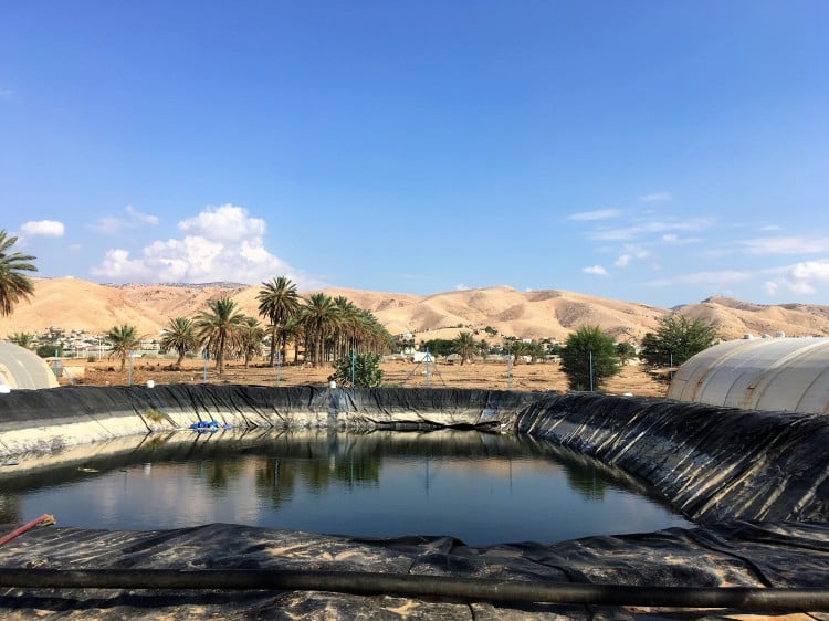 استهلاك المياه في الأردن
