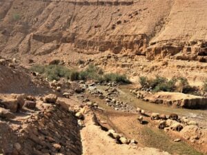 موارد المياه المشتركة في الأردن