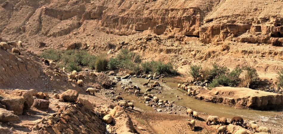 Jordan Valley - Shared Water Resources in Jordan