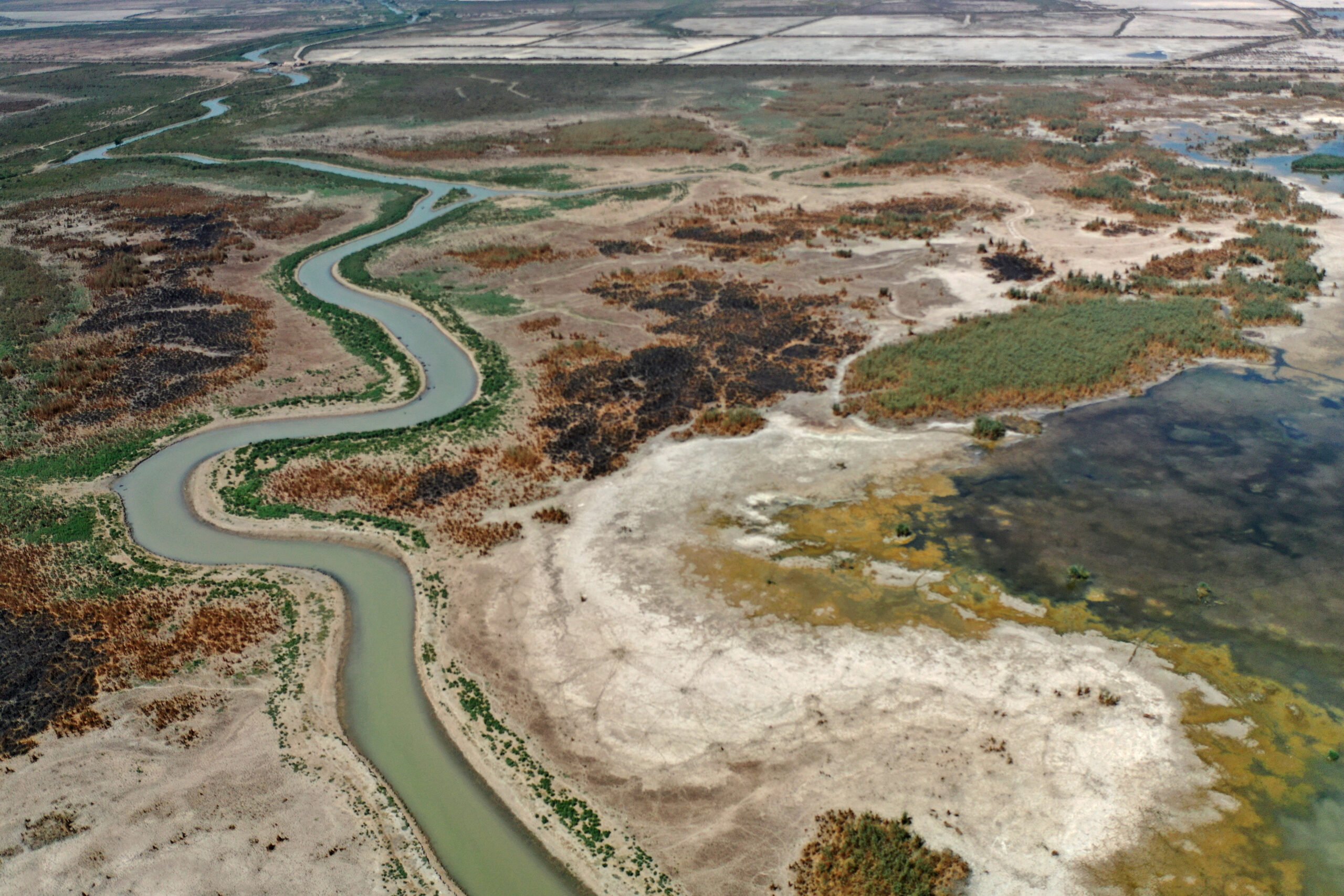 al-Huwaiza Marshes - Water Resources in Iraq