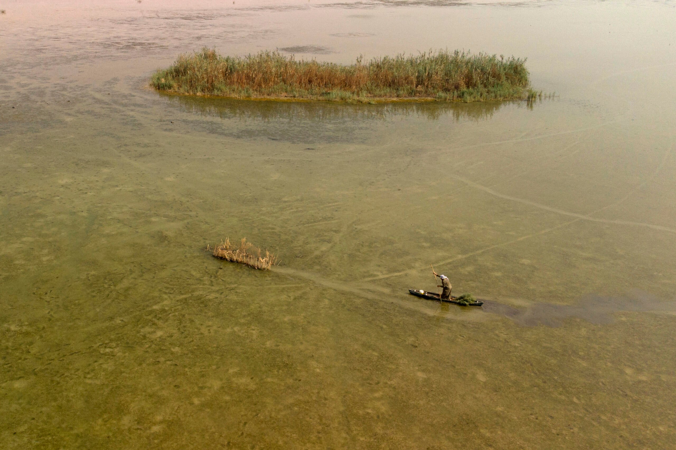 Iraqi marshes- Shared Water Resources in Iraq