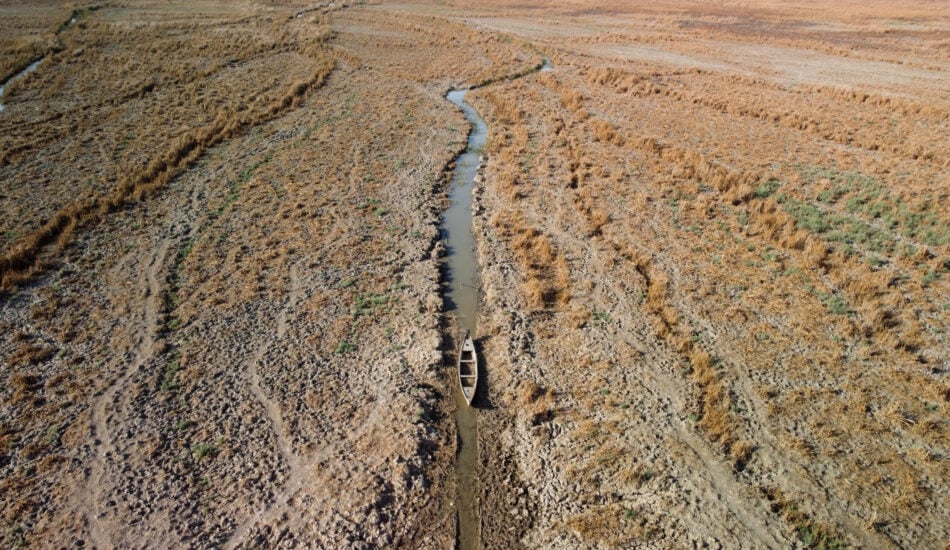 Iraqi marshes - Water Challenges in Iraq