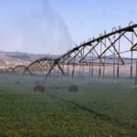 Water Use and Quality in Israel