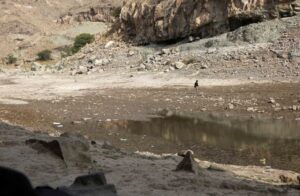 When Water Runs Out: How Water Scarcity Drives Migration in Yemen